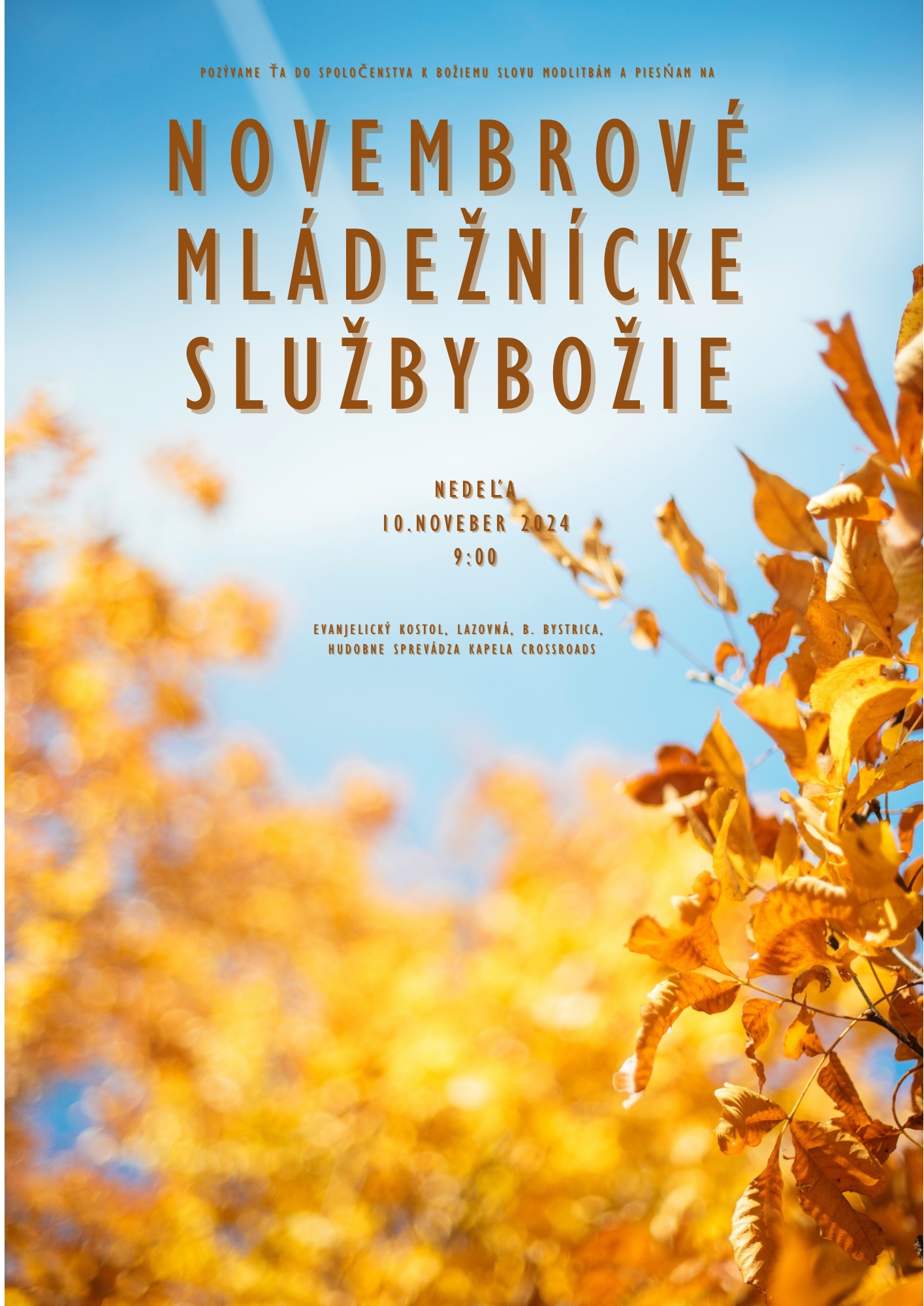 Plagatik mlsl202411